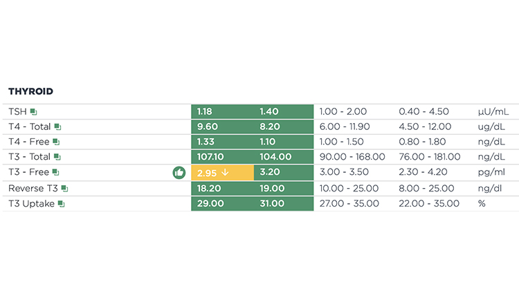 Functional Blood Test Lab Values vs Standard Values
