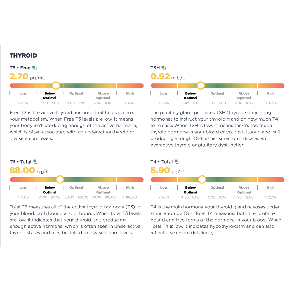Thyroid Premium Package